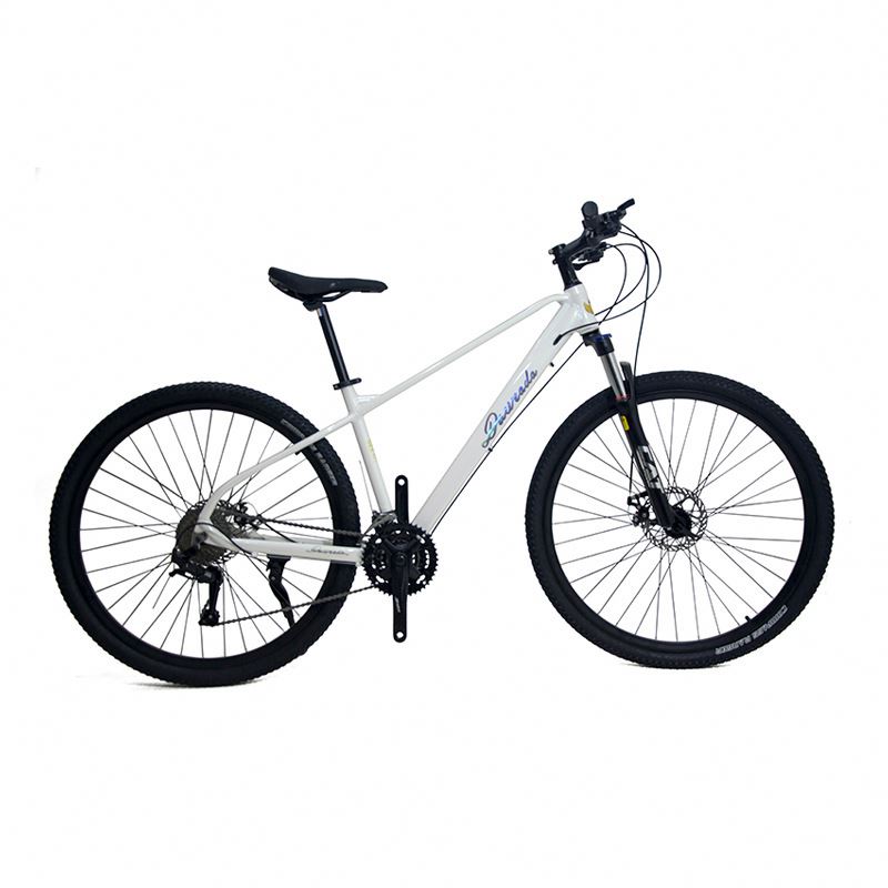 Mountain Biking Usa - 29インチアルミ合金製マウンテンバイク、21段変速、デュアルディスクブレーキ、フロントサスペンション搭載、オフロードや山岳地形に最適