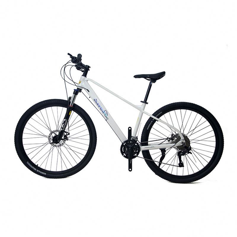 29インチアルミ合金製マウンテンバイク、21段変速、デュアル - Mountain Biking Usa のレビューと価格