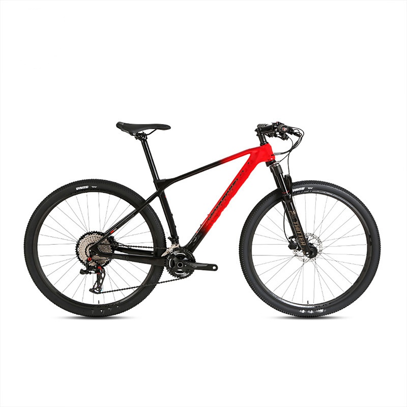 カーボンファイバーボディ、21段変速、ダブルVブレーキシステ - Mountain Biking Usa のレビューと価格